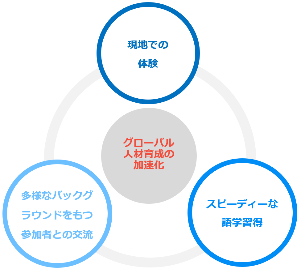 グローバル人材育成の加速化